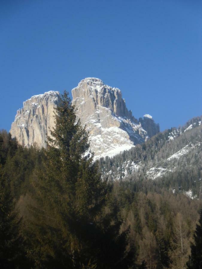 Garni Festil Hotel Campitello di Fassa Eksteriør billede